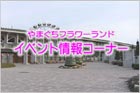 ̑