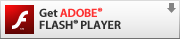 FlashPlayer_E[h
